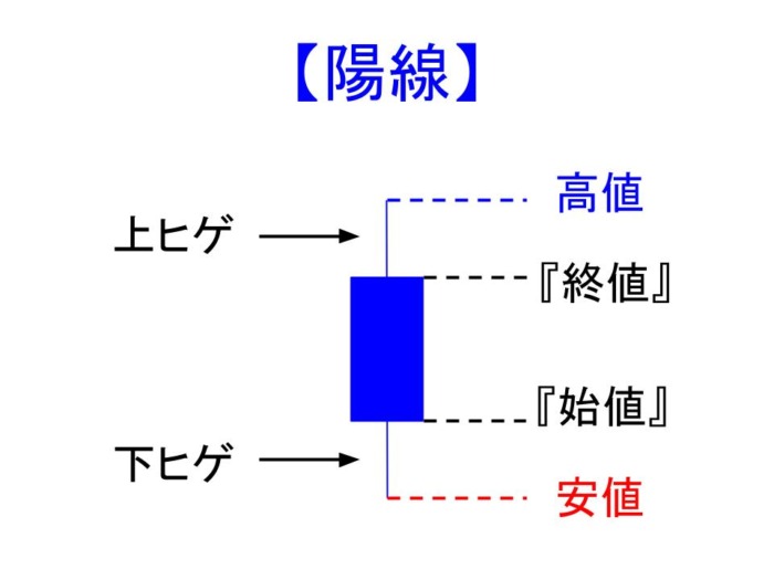 陽線